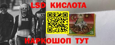 гидра Будённовск