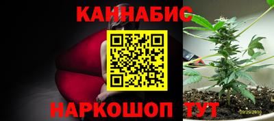 гидра Будённовск