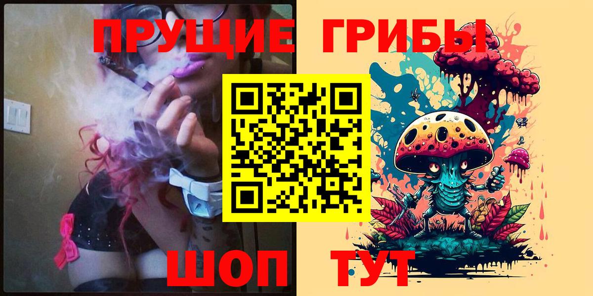 Псилоцибиновые грибы прущие грибы Волхов