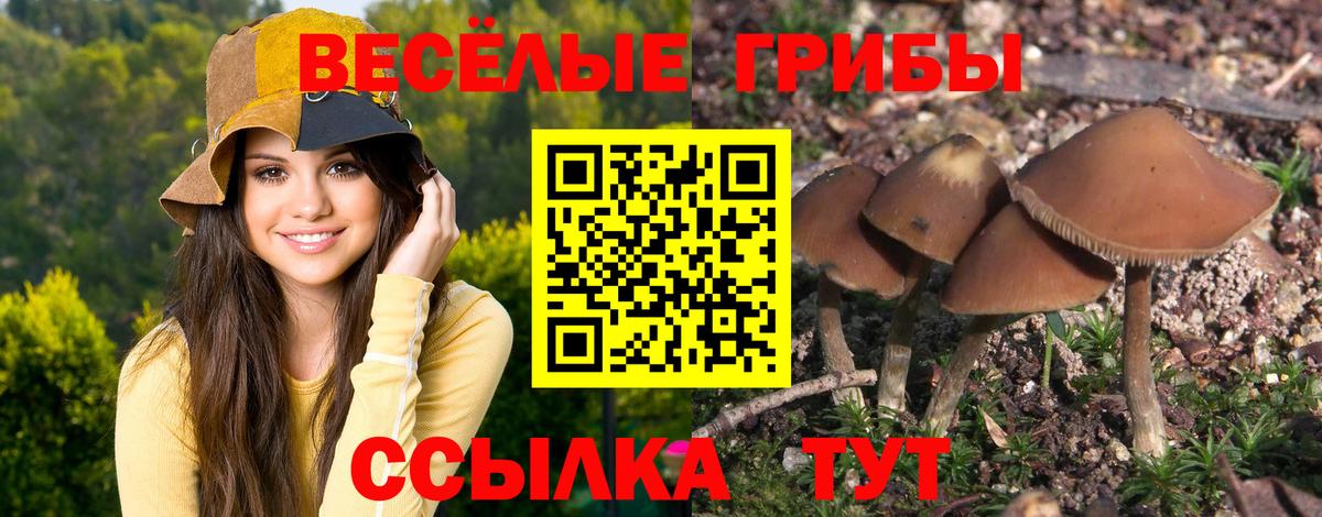 A-PVP Волхов