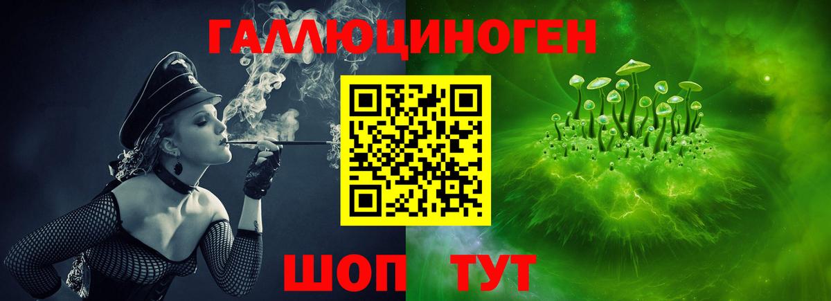 Волхов  Псилоцибиновые грибы ЛСД  Вход с VPN 