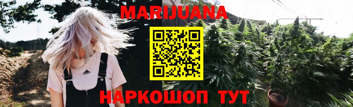 Марихуана планчик  Марихуана план  Волхов  Канабис Amnesia  Вход с VPN 